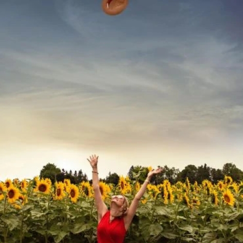 The Pursuit of Dreams