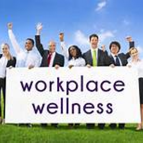 12 month Corporate /Group Wellbeing Package